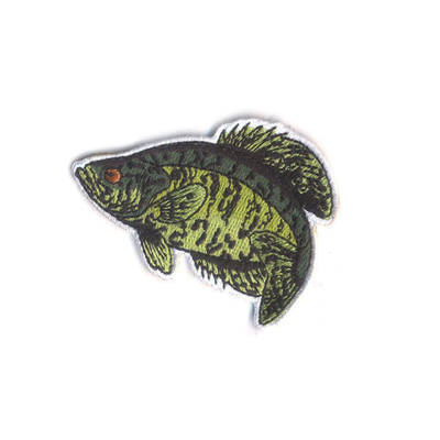 Pescando o bordado Logo Correçãoes, crachás traseiros passando da roupa e remendos